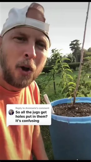 How a self wicking container works. This is a full guide on a self watering system. #gardenproject