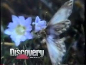 Discovery Channel commercials, December 1989
