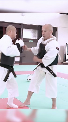 Demo Technique 4 #training #shorinjikempo #kempo #selfdefense #sensei #reelfb #martialarts #kick | Shorinji Kempo 少林寺拳法