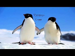 DerpJam Penguin NX