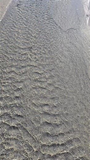 Reality.Programming2 (@miroprogramming)’s videos with original sound - Reality.Programming2