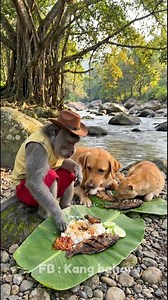 A funny and smart monkey goes fishing and enjoys the catch together with a dog and a cat. Cute and entertaining moments! 🐒🎣🐶🐱 #monkey #cutemonkey #Monkeyfunny #monkeydluffy #doglover | Kang Bahar