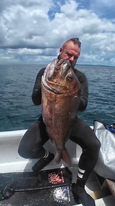 Spearfishing a Monster Snapper | Aquatic Rehab Spearfishing
