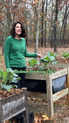 Container Gardening👨🏾‍🌾 🥬#gardeningideas #gardentour #collards #containergardening