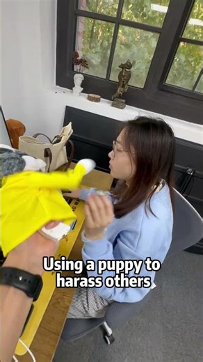 Boxing Husky #handpuppe #boxingtoy #husky