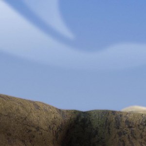 62 shares · 26 comments | Want to be a better animator? See how to get mentored by studio professionals. | Animation Mentor | Facebook