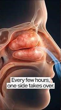 Why One Nostril Always Feels Blocked - The Nasal Cycle Explained. #shorts