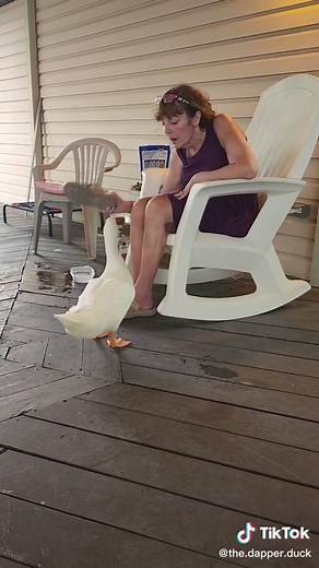 Piper tries on gam (grandma) and he gets the shoe #thedapperduck #ducksoftiktok