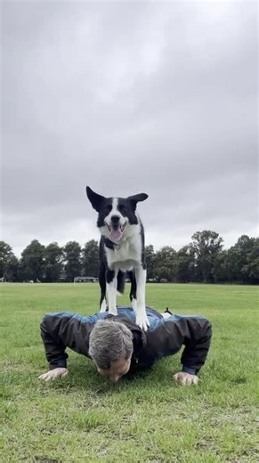 Dog Stands on Man's Back as He Does Push-Ups