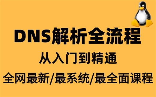 【2024新版】【DNS解析全流程】从零基础入门到实战/全网最全/最细/最懂你的，学不会直接倒立