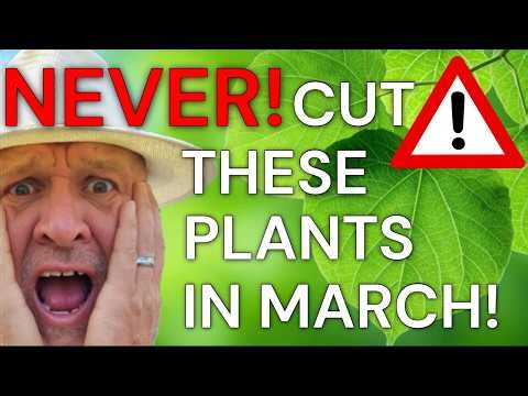Never Prune, Cut or Trim these Plants in March: Beginner's Guide