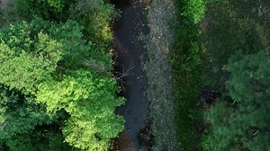 How do you trap a tiny, jumping mouse? AZGFD biologists set out to trap endangered New Mexico Jumping Mice in support of a research project out of Northern Arizona University. It's not always easy, but our biologists aren't giving up! Beautiful White Mountains scenery in this video, too - great work by our videographer David Majure! Check it out: | Arizona Game & Fish Department