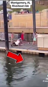 Moment massive brawl breaks out between white and black people