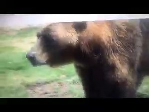 Robert Duvall on Reels