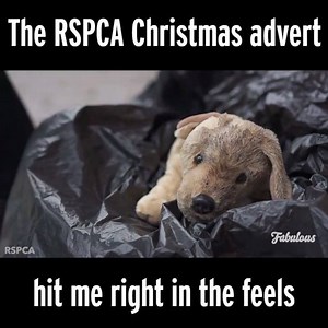 554K views · 3.4K reactions | No, YOU'RE crying  | Fabulous | Facebook