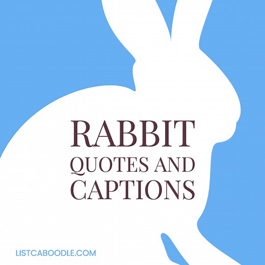 173 Rabbit Quotes and Captions That Will Have You Hopping