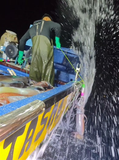 pesca de Jibia - DISPARO al espacio #pesca #fishing #optopus #jibiasycalamares🦑 #fhish