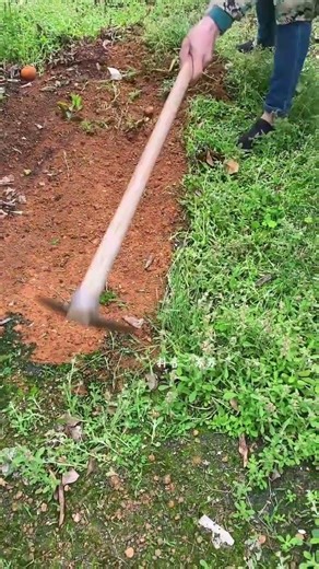 Unveiling Rural Life: Dive into the Realities of Agricultural Field Work