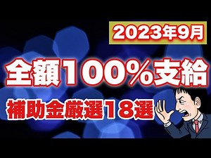 【2023年9月版】 全額100%支給の補助金・支援金 厳選18選