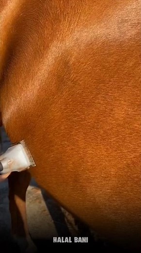 এই বিপদজনক নাম কখনো রাখবেন না 😳❤️‍🩹 #youtubeshorts #islamic #shortsfeed #shorts #name