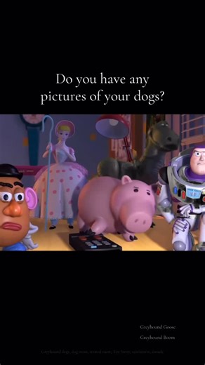 Goose and Boom on Instagram: "I may or may not have a problem. #DogMom"