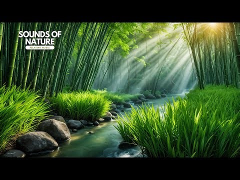 Relaxing Guitar music: Peaceful Melodies for Quiet Moments