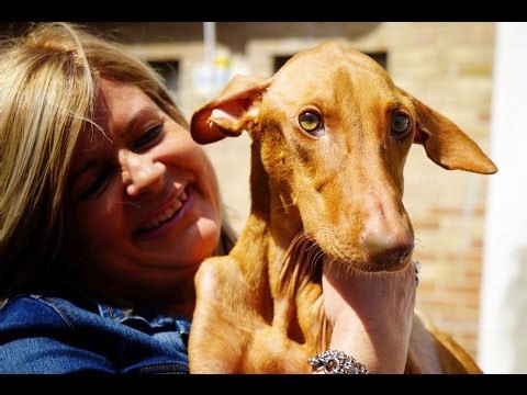 Brain damage – and the moments that changed everything