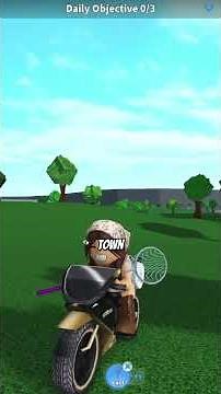 How to catch Butterflies and Dragnoflliesin Bloxburg 2025