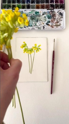 Fleur sauvage à l’aquarelle | Le Coucou 💛