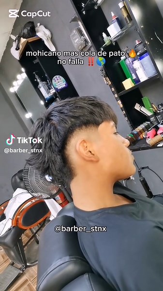 Corte Mohicano y Cola de Pato: Transformación Creativa