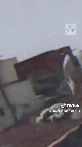 Angel real life ! #angel #monster #fy #fyb #trending #viral #realmonster #universemonster #usa #world