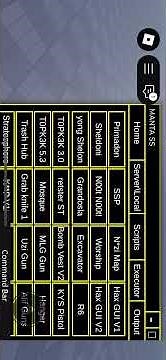Roblox SS executor showcase