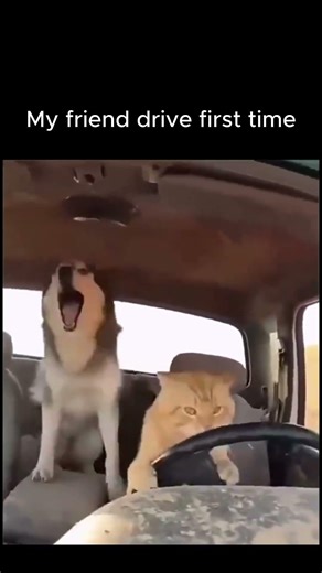 My Friend Drive First Time😂