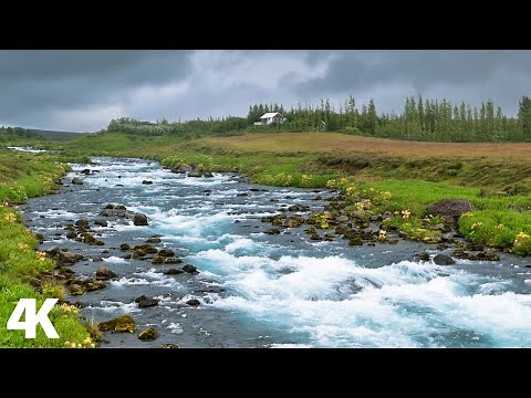 الطبيعة الساحره صوت الانهار ، صوت المطر والطيور لتهدئة الاعصاب | Relaxing Nature Sounds 4k