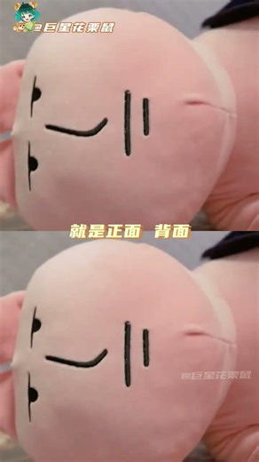 Surprise Encounter: Northern Rat in Southern Bath! RatAdventure Northeast SouthernEscape