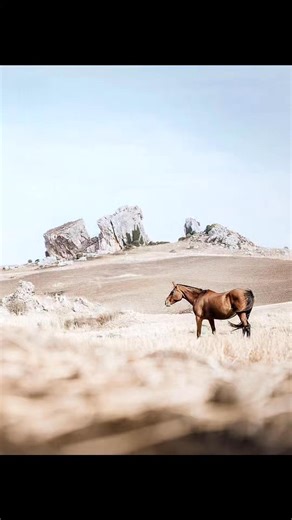 Transfer and Tourism on Instagram: "No Irlanda this is territories my village Prizzi Pa Sicily. MB Consulting Agency Mario Blanda Visit Prizzi Hippana Visit Sicily Comune di Prizzi Comune di Palermo Regione Siciliana NewYorkesi Italiani a New York Ufficio Turistico Comune di Prizzi Comitato Magna via Francigena: Sutera Comitato Via Francigena Fabaria Niscemi Phylakè Ristorante Pizzeria L'Agorà Associazione Turistico Culturale ''Pyrizein'' - Prizzi Ufficioturistico Prizzi Sikanamente 2.0 #NCC2025