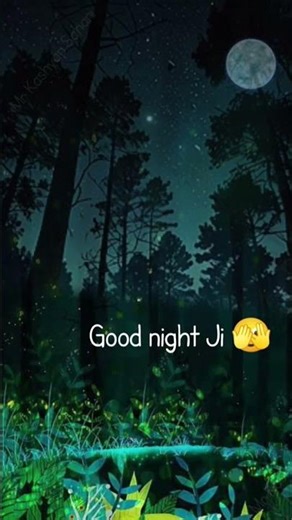 good night sound effect