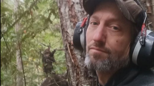 Professional woodcutter films the raw power of a falling tree in the wild