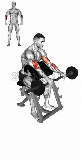 Biceps Workout For Size #2workout #fitness #gym #workout #fitlife #fitnessmotivation #fitfam #gymlife #training #healthylifestyle #fitnessjourney #getfit #wellness #strong #fitgoals #fitnessaddict #cardioworkout #strengthtraining #hiitworkout #instafit #fitinspiration #fyp #foryoupage #viralworkout #fitnesschallenge #gymtok #bodygoals | 2workout