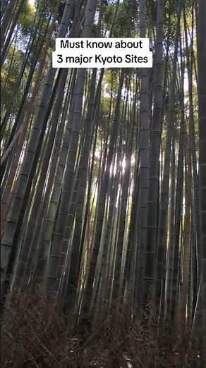 MUST Know About These 3 Famous Kyoto Sites