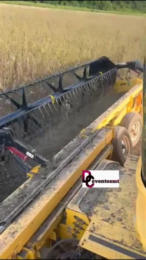 Américo Cota Fotógrafo on Instagram: "Excesso de chuva atrasa colheita de soja em algumas regiões e gera alerta a produtores de Mato Grosso Ao menos 39,61% da área prevista já foi colhida no estado, enquanto acumulado da chuva varia entre 90 e 150 milímetros em várias regiões produtoras, nos últimos quinze dias. O excesso de chuva em Mato Grosso tem atrasado a colheita de soja da safra 2025/2026 em algumas regiões e gerou alerta aos produtores rurais, segundo comunicado divulgado nesta quinta-fe