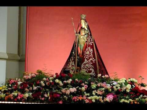 Clemens non Papa: O Maria vernans rosa (1554)