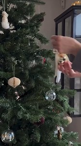 426K views · 4.2K reactions | Easy DIY, big Christmas charm  #DIYChristmasDecor #HolidayInspo #FestiveDIY #ChristmasVibes #HomeDecor #HandmadeHoliday | Interior Decor World | Facebook