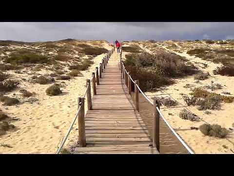 Don Henley-These days (Jackson Browne song)