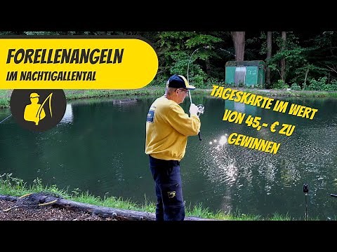 Forellenangeln im Nachtigallental