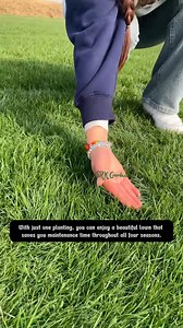 Instead of spending time mowing your lawn, all you need to do is sow Zoysia Grass Seeds to solve every problem | Dodo Garden