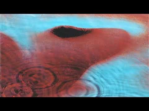 Pink Floyd - Echoes (GUITAR BACKING TRACK w/VOICE)