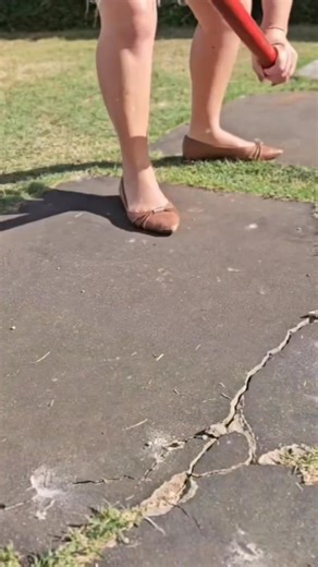 The most beautiful pathway | FloraVid