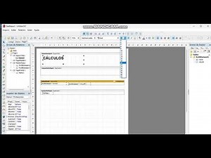 Como somar valores no relatório Fastreport no Delphi 11