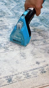 Lowest price I’ve seen on the Shark StainStriker HairPro Pet #cleaninghacks #stainremoval #carpetcleaning #stainstriker #tiktokshopcreatorpicks | Be.Lush
